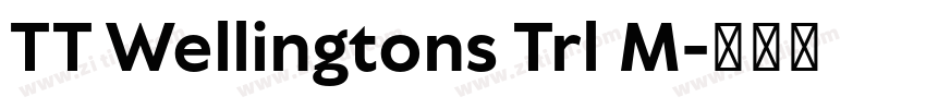 TT Wellingtons Trl M字体转换